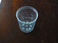RIMG0012.JPG