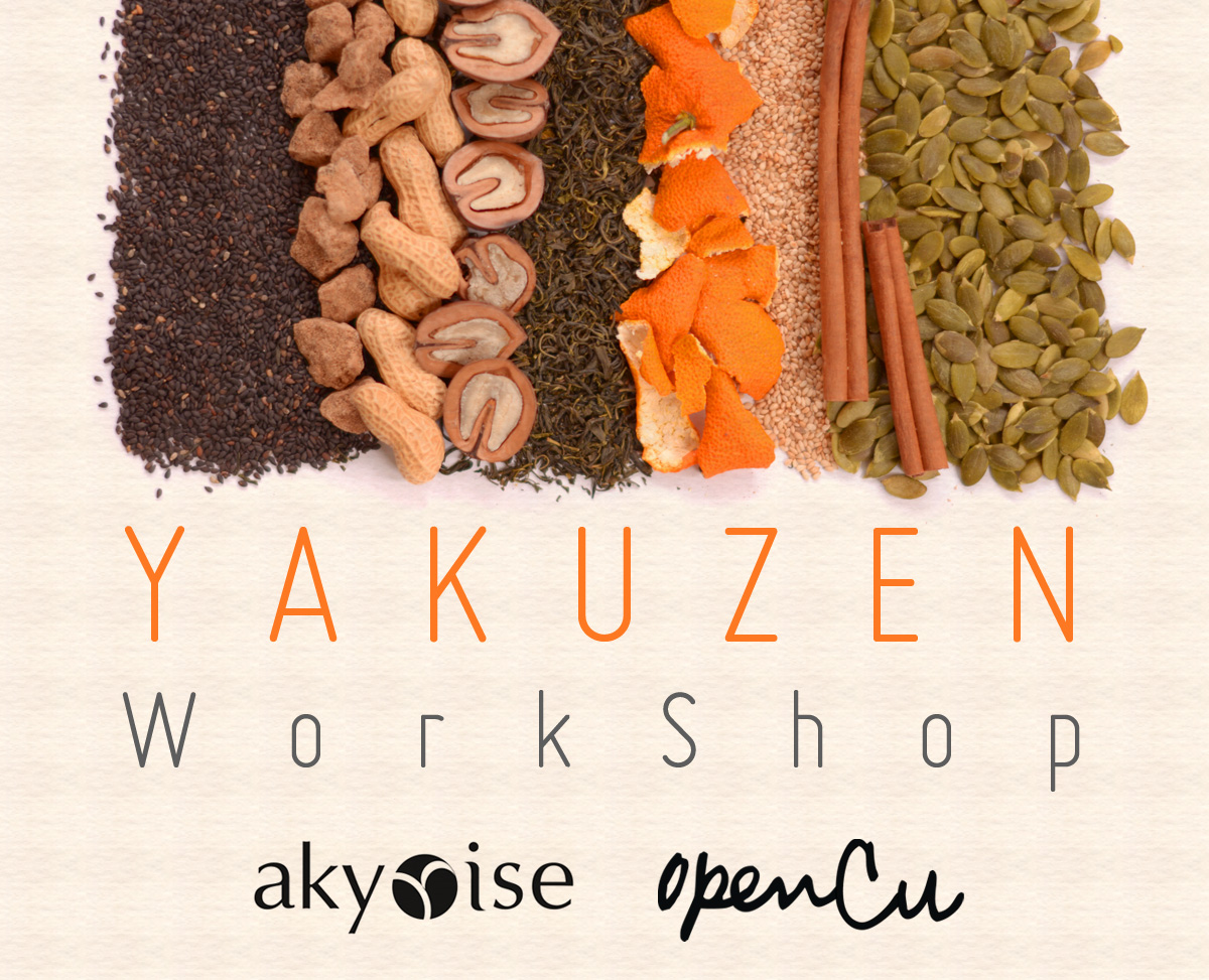 opencu-yakuzen.jpg