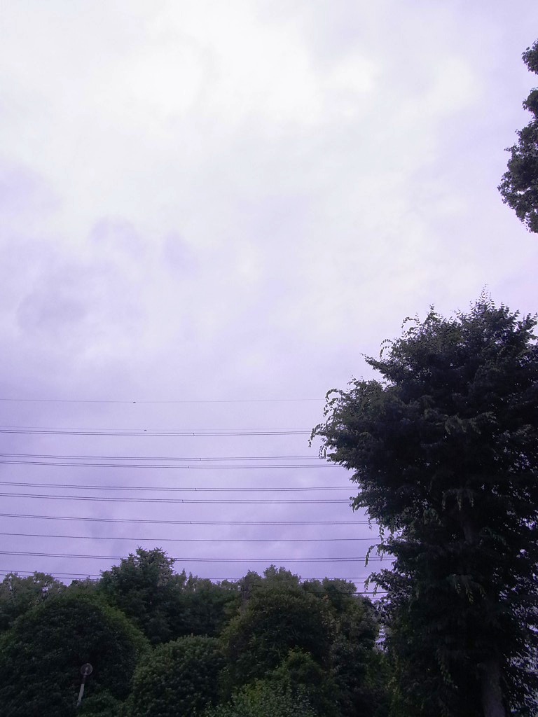 s_RIMG0001.JPG