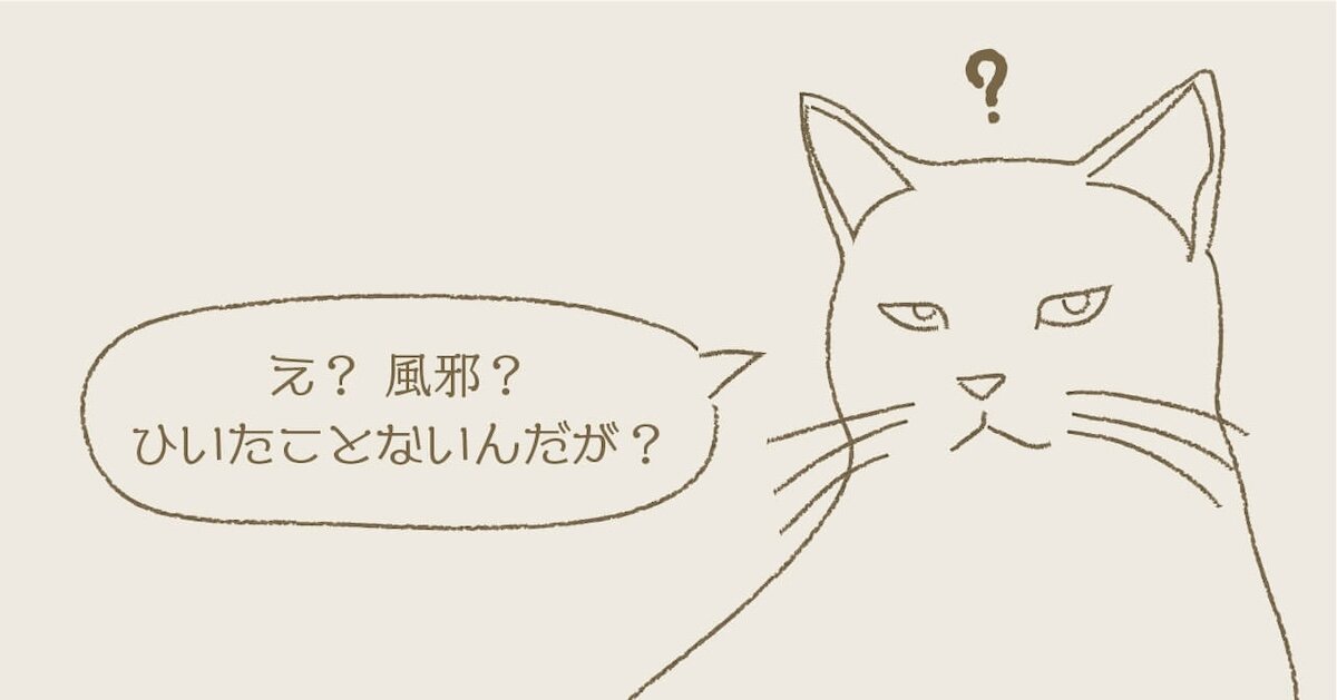 バカは風邪ひかない？ ｜東洋医学的に見る「鈍感力と免疫力」の深い関係