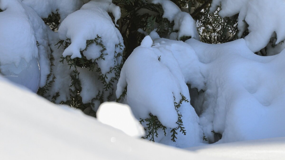 東洋医学的暮らし方「大雪」薄着で寝る