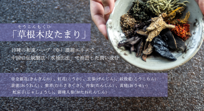 2025_essence_tamari (1).png